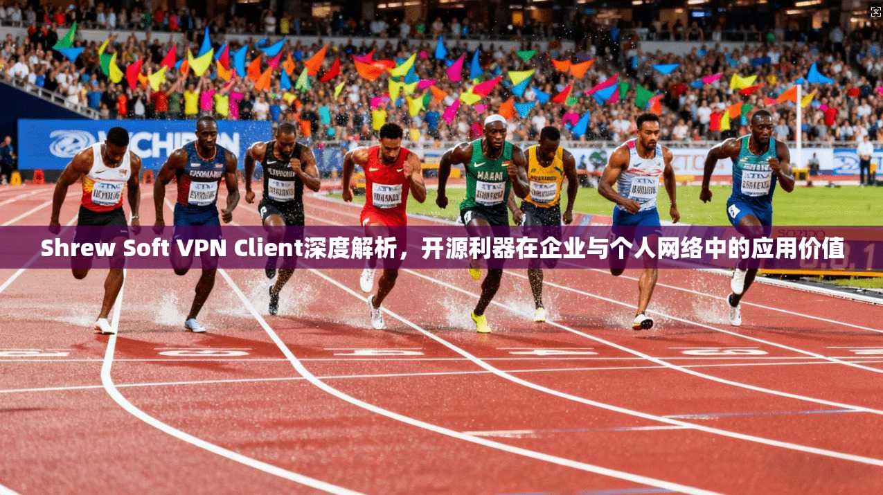 Shrew Soft VPN Client深度解析，开源利器在企业与个人网络中的应用价值