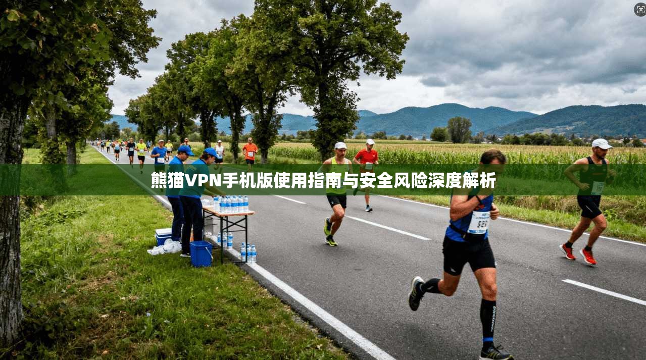 熊猫VPN手机版使用指南与安全风险深度解析