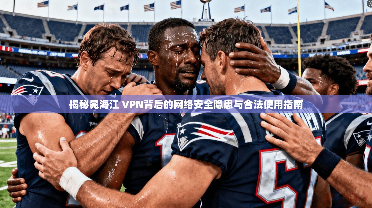 揭秘晁海江 VPN背后的网络安全隐患与合法使用指南
