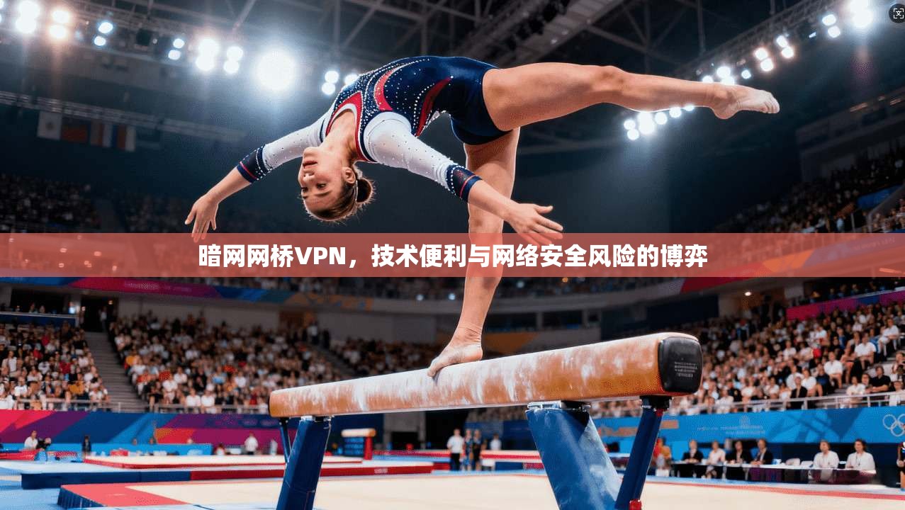 暗网网桥VPN,技术便利与网络安全风险的博弈