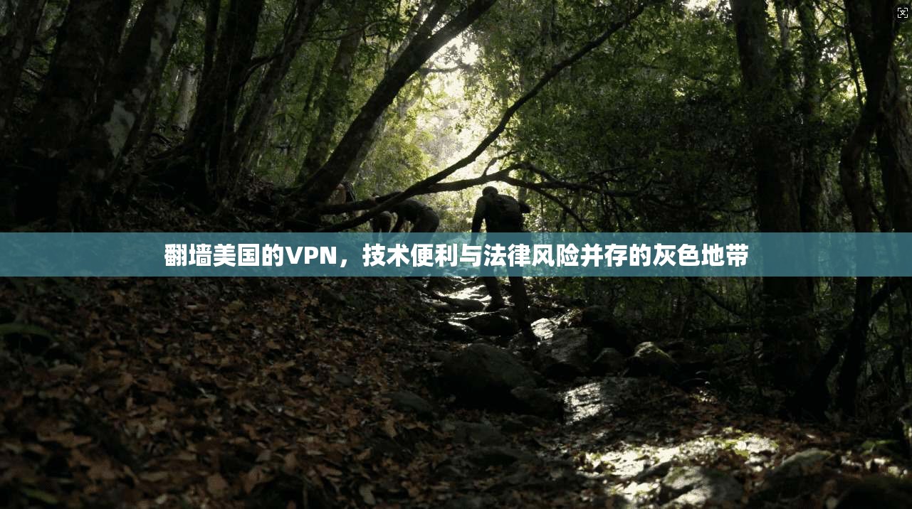 翻墙美国的VPN,技术便利与法律风险并存的灰色地带 翻墙美国的VPN,技术便利与法律风险并存的灰色地带