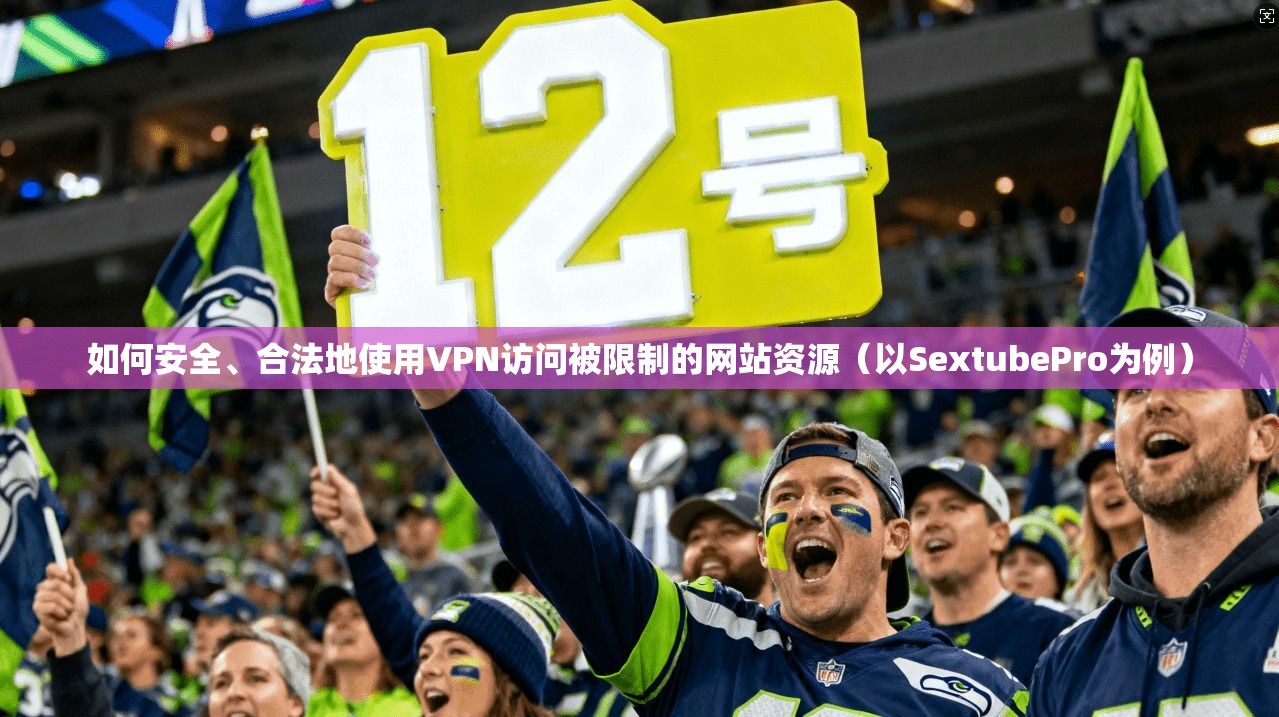 如何安全、合法地使用VPN访问被限制的网站资源（以SextubePro为例）