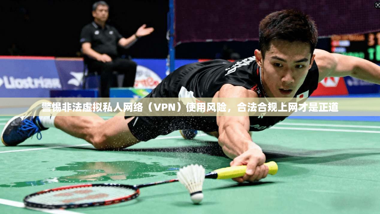 警惕非法虚拟私人网络（VPN）使用风险，合法合规上网才是正道