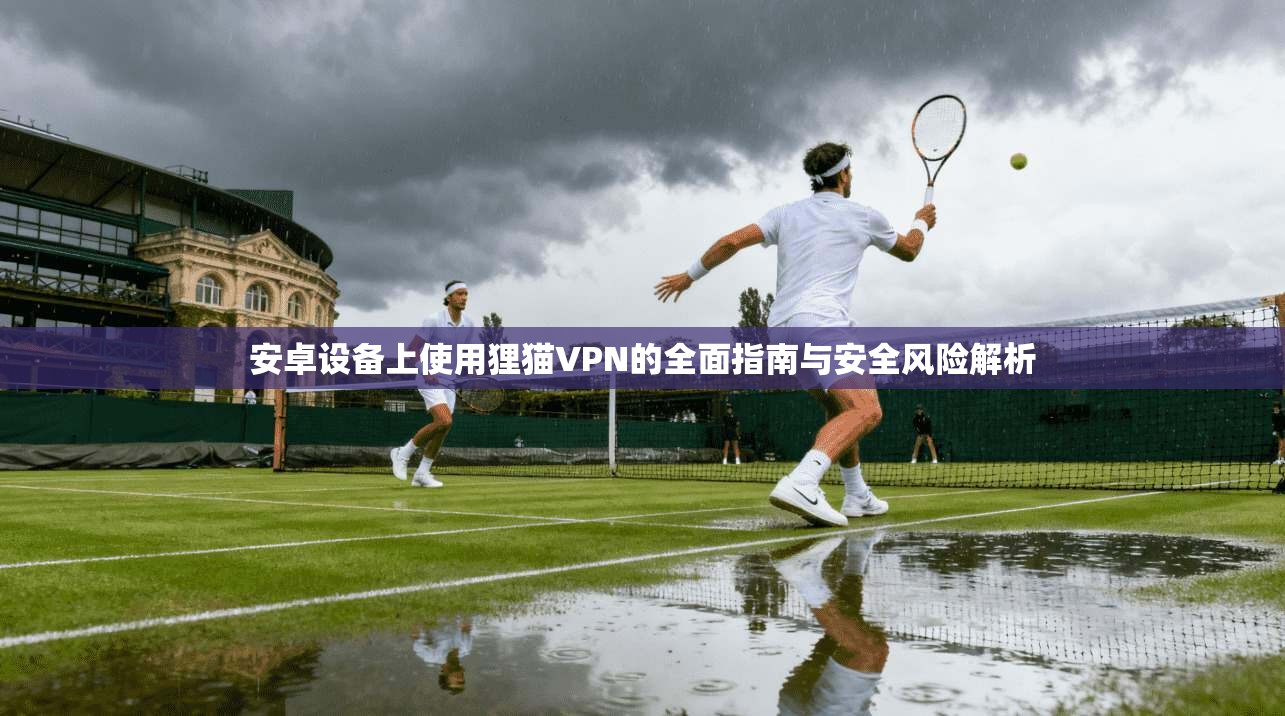 安卓设备上使用狸猫VPN的全面指南与安全风险解析