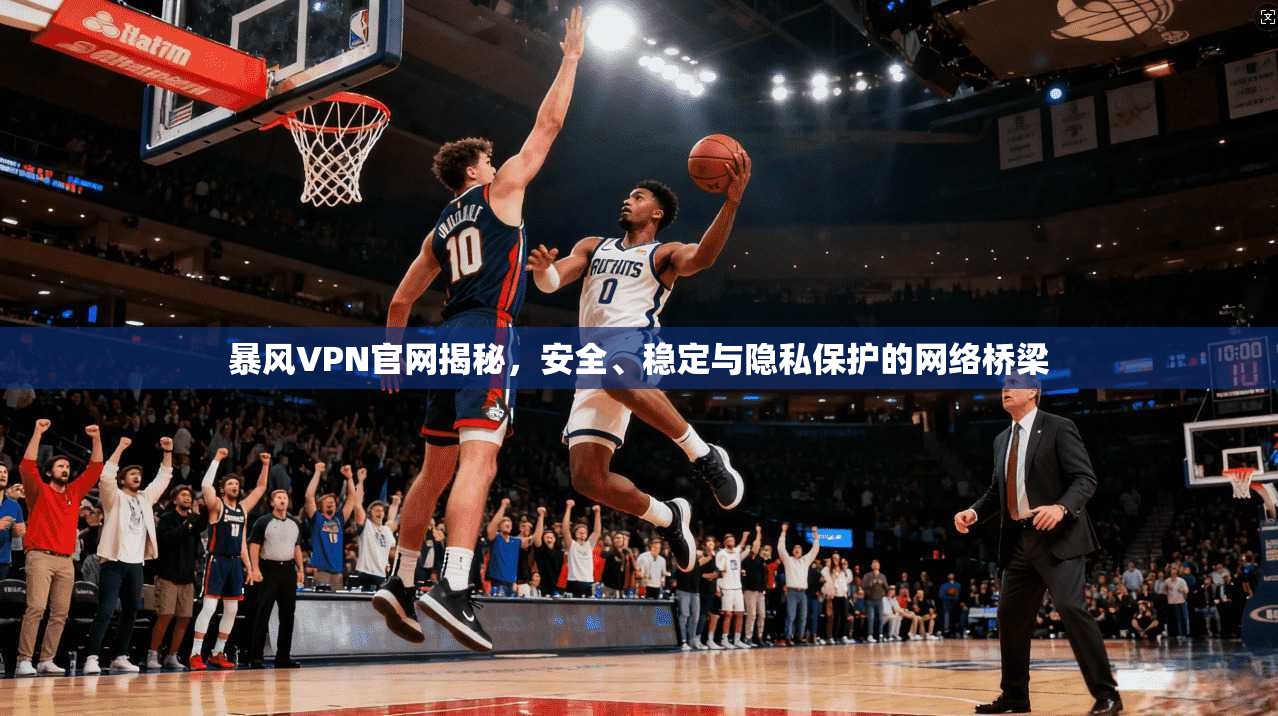 暴风VPN官网揭秘，安全、稳定与隐私保护的网络桥梁