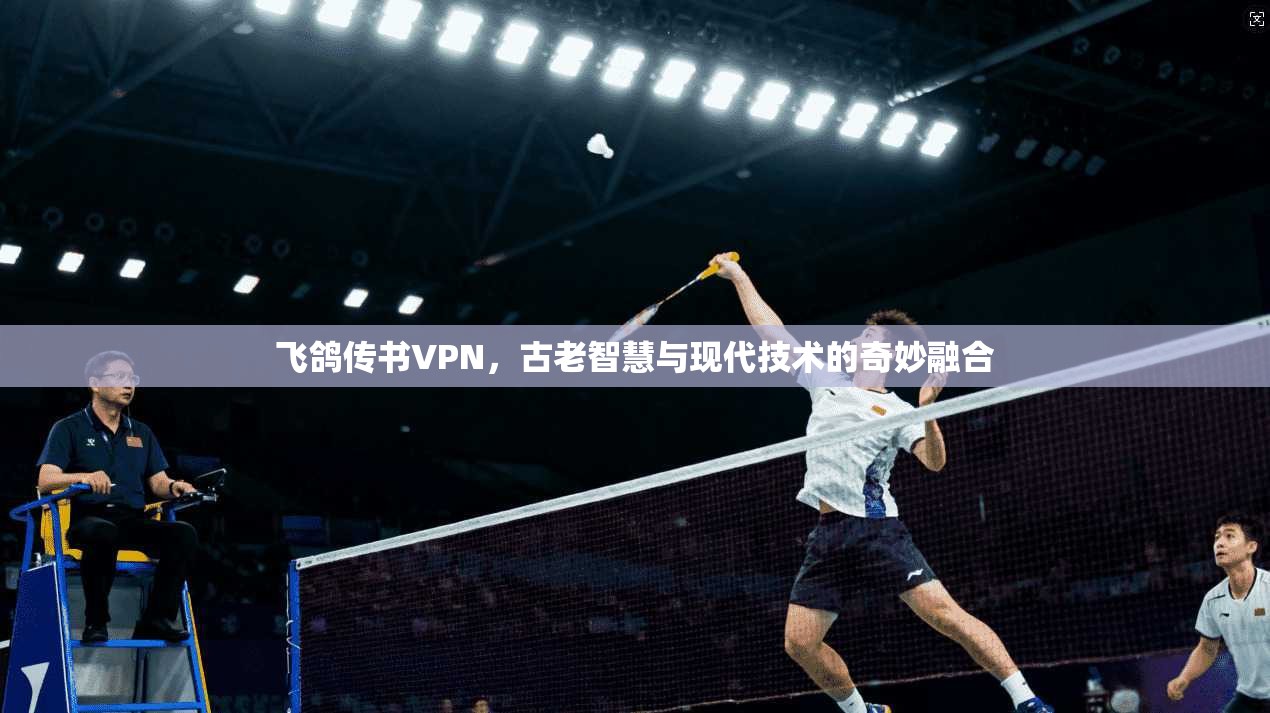 飞鸽传书VPN，古老智慧与现代技术的奇妙融合