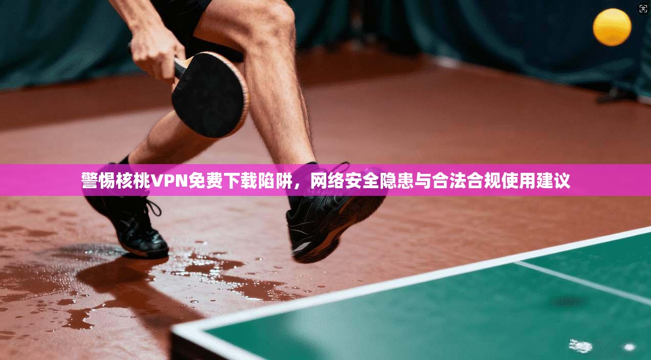 警惕核桃VPN免费下载陷阱,网络安全隐患与合法合规使用建议 警惕核桃VPN免费下载陷阱,网络安全隐患与合法合规使用建议