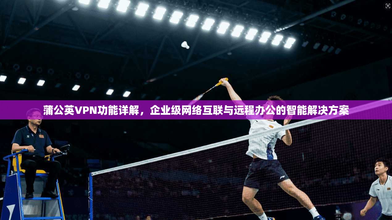 蒲公英VPN功能详解,企业级网络互联与远程办公的智能解决方案 蒲公英VPN功能详解,企业级网络互联与远程办公的智能解决方案
