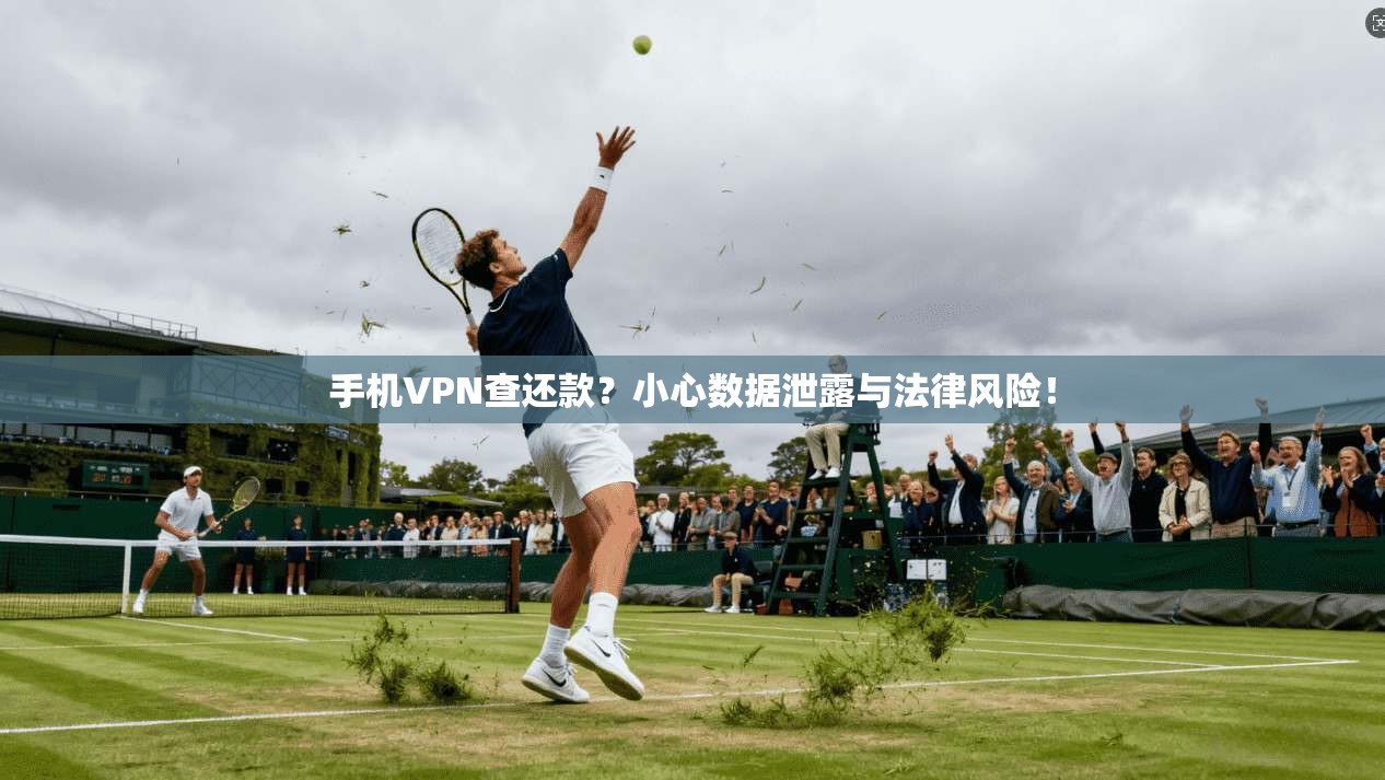手机VPN查还款？小心数据泄露与法律风险！