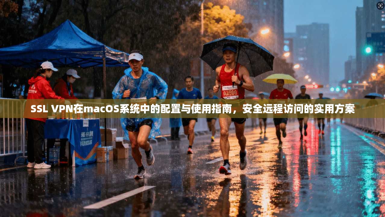 SSL VPN在macOS系统中的配置与使用指南，安全远程访问的实用方案