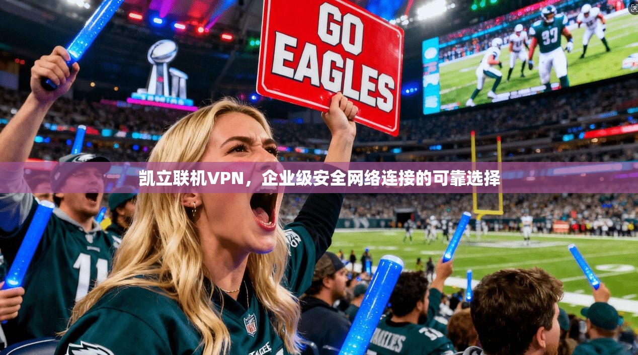 凯立联机VPN，企业级安全网络连接的可靠选择