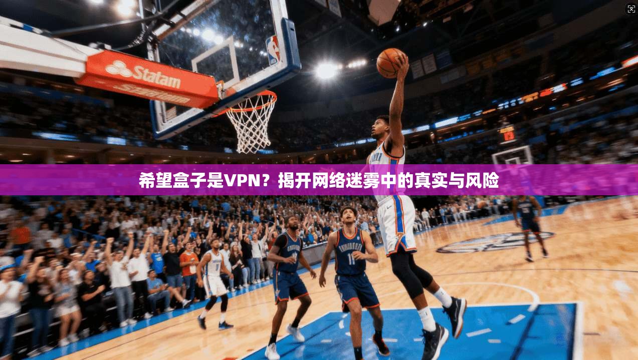 希望盒子是VPN?揭开网络迷雾中的真实与风险 希望盒子是VPN?揭开网络迷雾中的真实与风险
