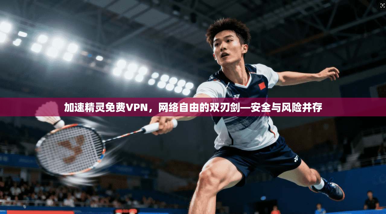 加速精灵免费VPN，网络自由的双刃剑—安全与风险并存