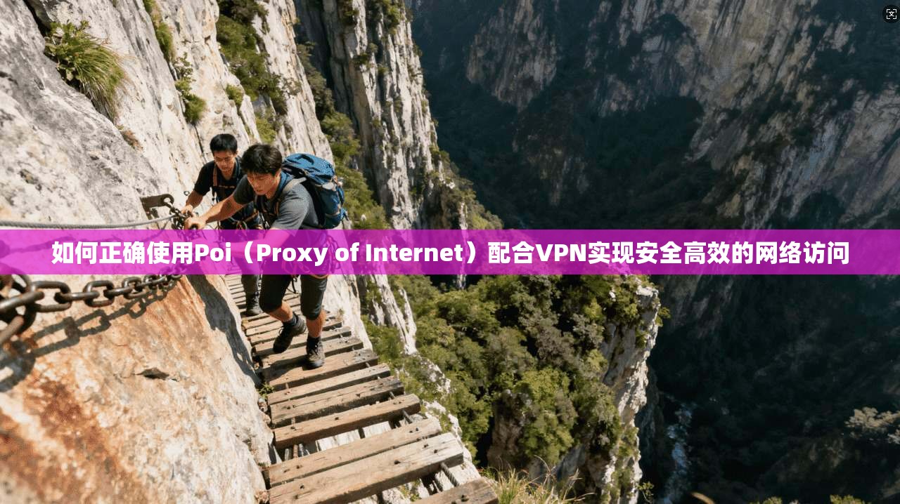 如何正确使用Poi（Proxy of Internet）配合VPN实现安全高效的网络访问