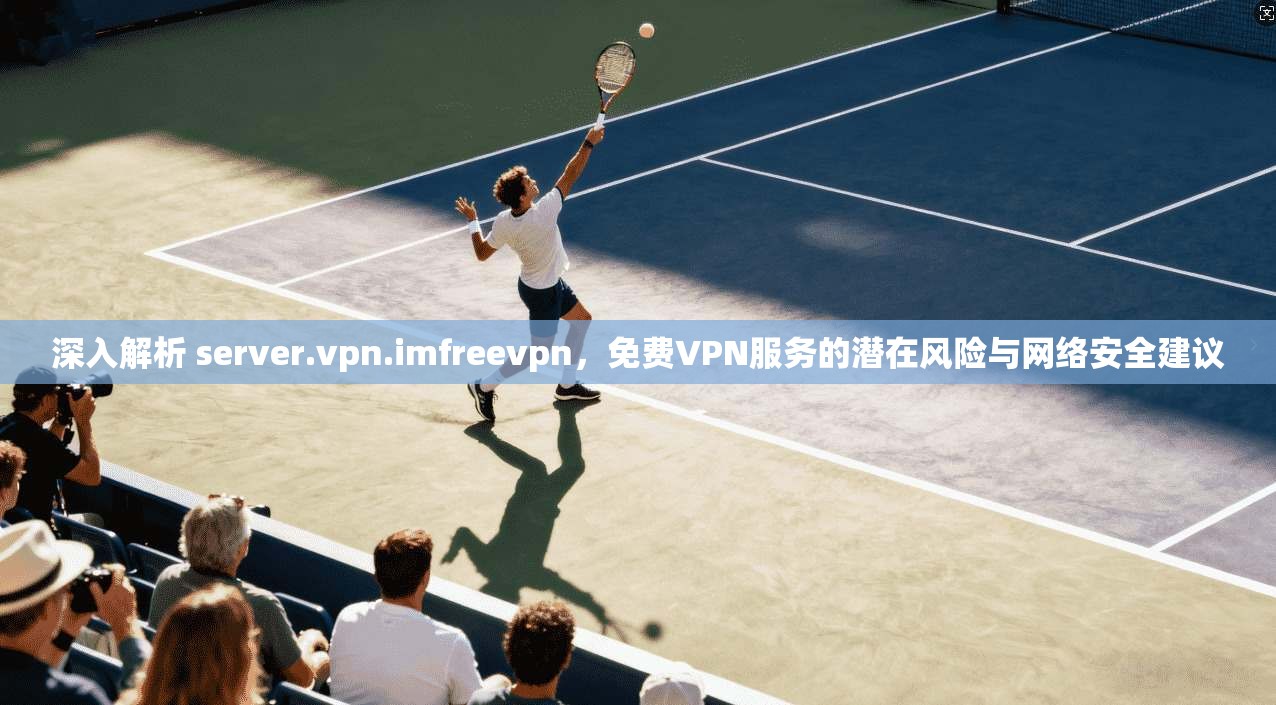 深入解析 server.vpn.imfreevpn，免费VPN服务的潜在风险与网络安全建议