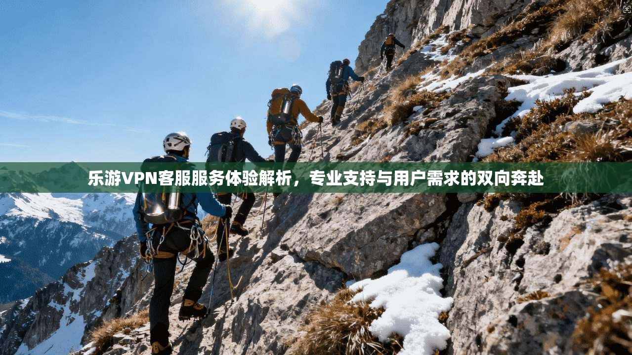 乐游VPN客服服务体验解析,专业支持与用户需求的双向奔赴 乐游VPN客服服务体验解析,专业支持与用户需求的双向奔赴