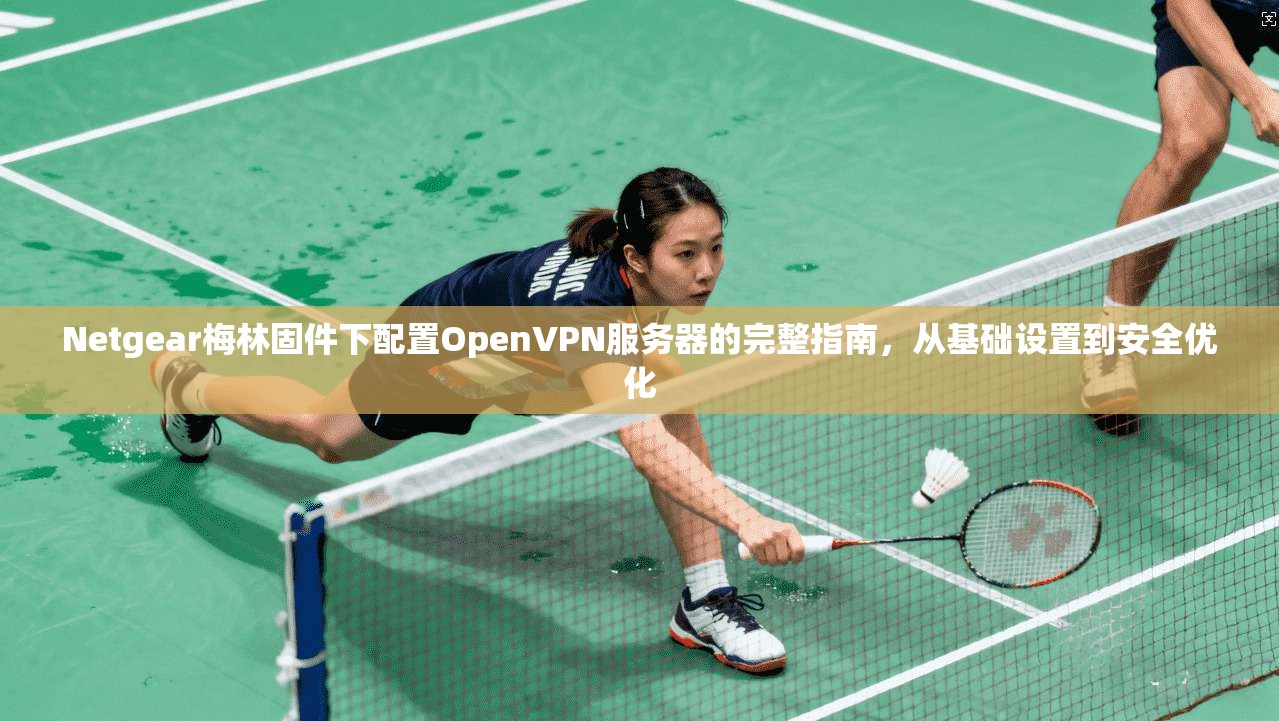 Netgear梅林固件下配置OpenVPN服务器的完整指南,从基础设置到安全优化 Netgear梅林固件下配置OpenVPN服务器的完整指南,从基础设置到安全优化