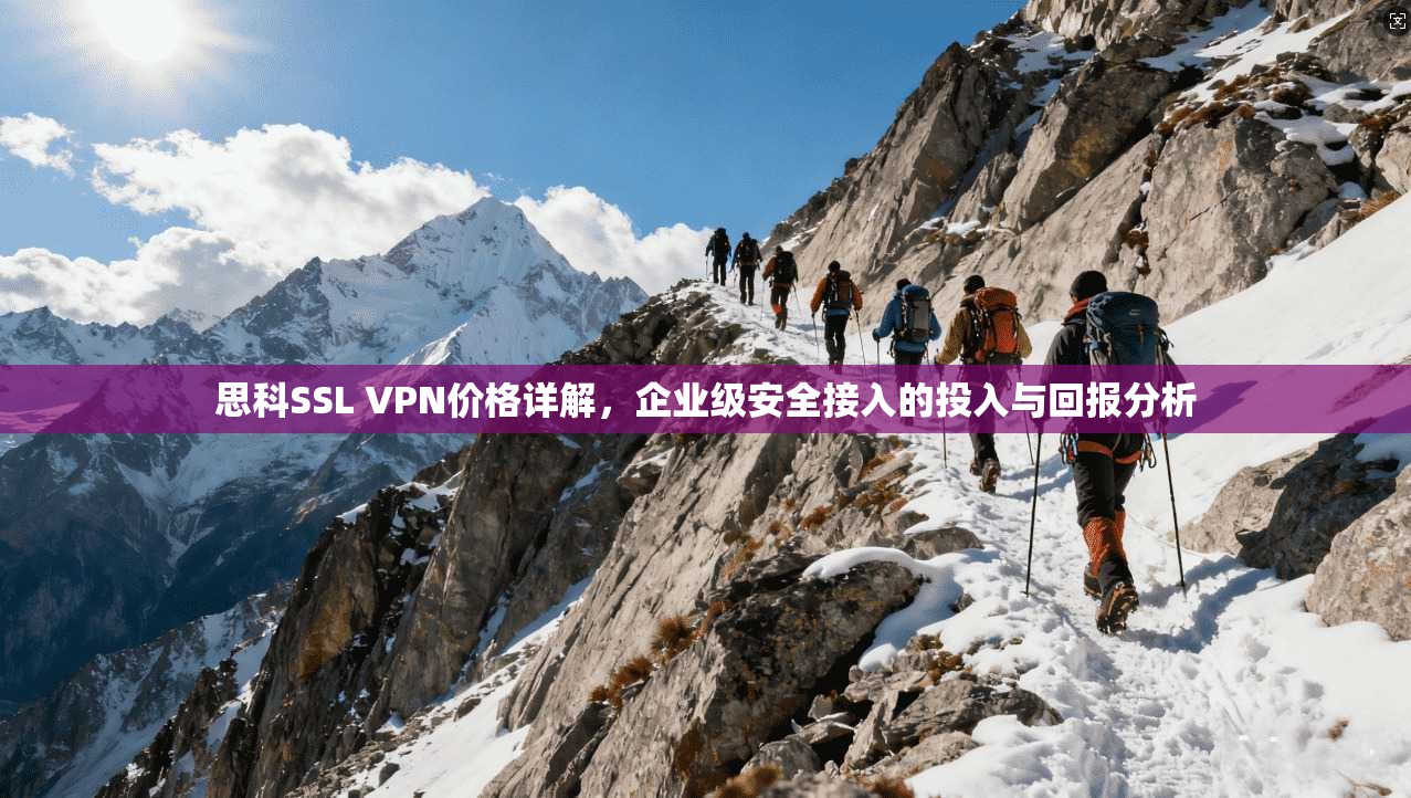 思科SSL VPN价格详解,企业级安全接入的投入与回报分析 思科SSL VPN价格详解,企业级安全接入的投入与回报分析