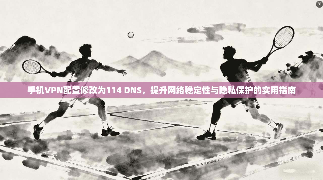 手机VPN配置修改为114 DNS，提升网络稳定性与隐私保护的实用指南