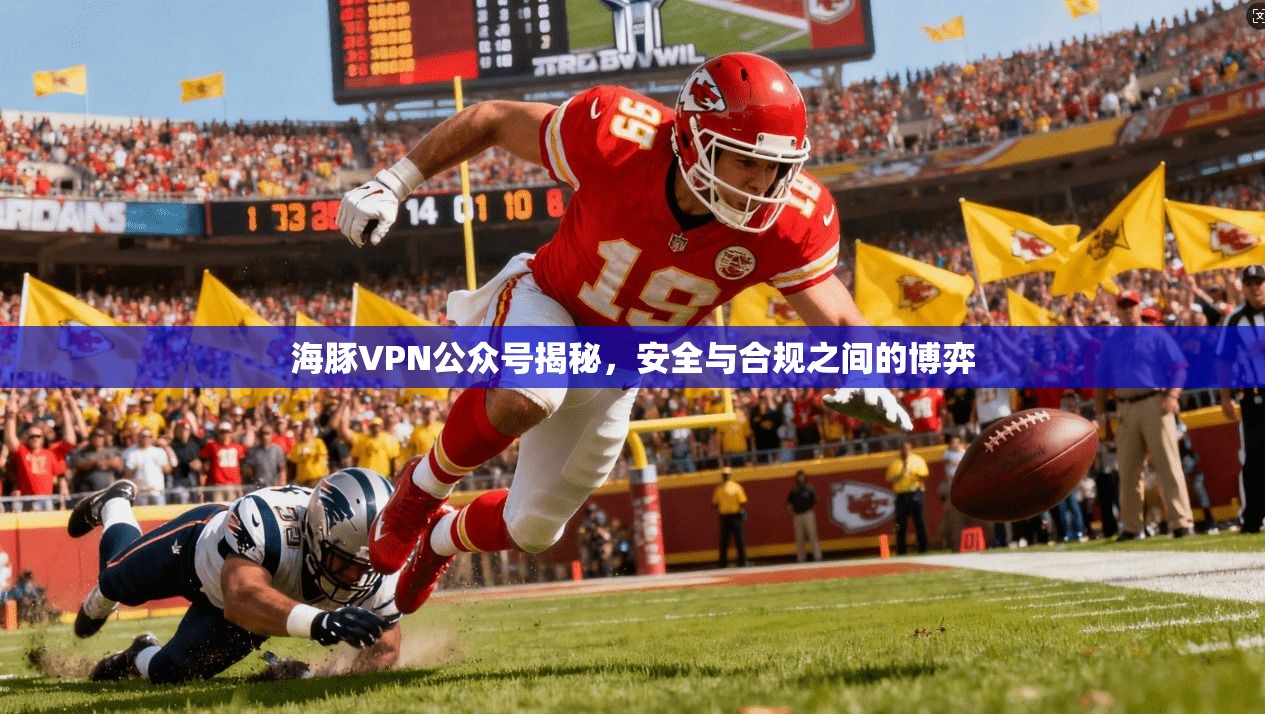 海豚VPN公众号揭秘,安全与合规之间的博弈 海豚VPN公众号揭秘,安全与合规之间的博弈