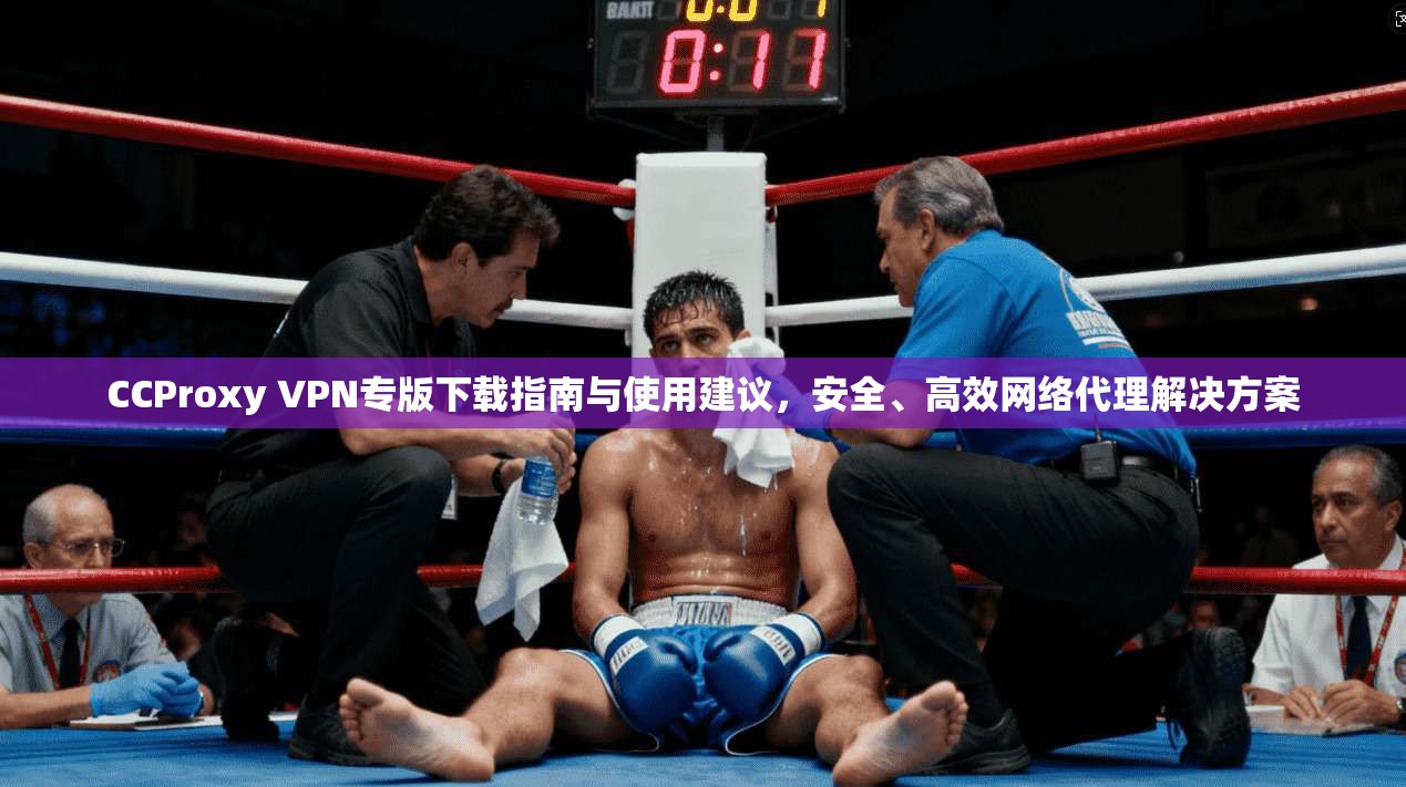 CCProxy VPN专版下载指南与使用建议,安全、高效网络代理解决方案 CCProxy VPN专版下载指南与使用建议,安全、高效网络代理解决方案