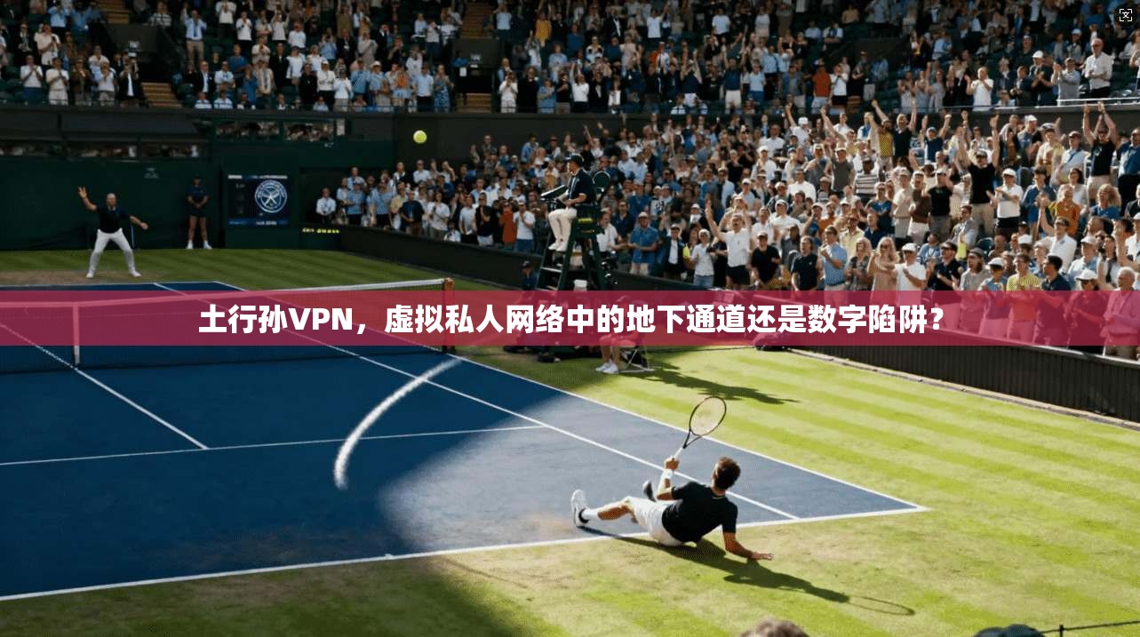 土行孙VPN,虚拟私人网络中的地下通道还是数字陷阱? 土行孙VPN,虚拟私人网络中的地下通道还是数字陷阱?