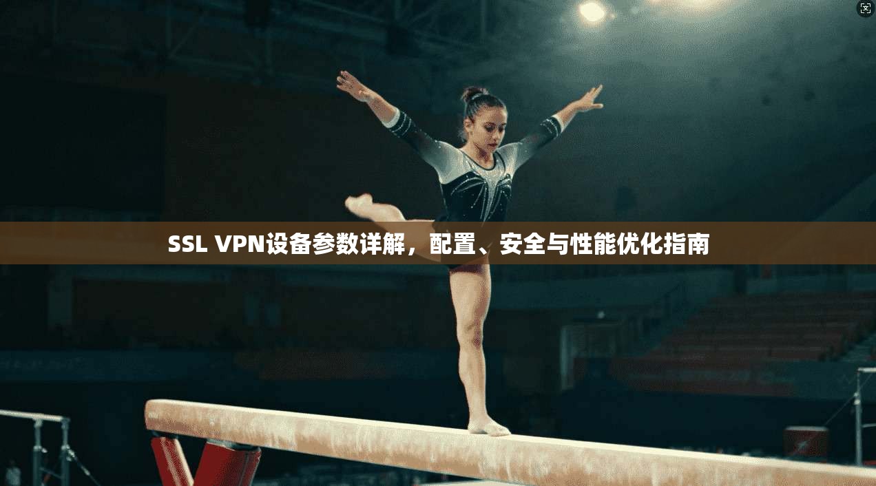 SSL VPN设备参数详解,配置、安全与性能优化指南 SSL VPN设备参数详解,配置、安全与性能优化指南