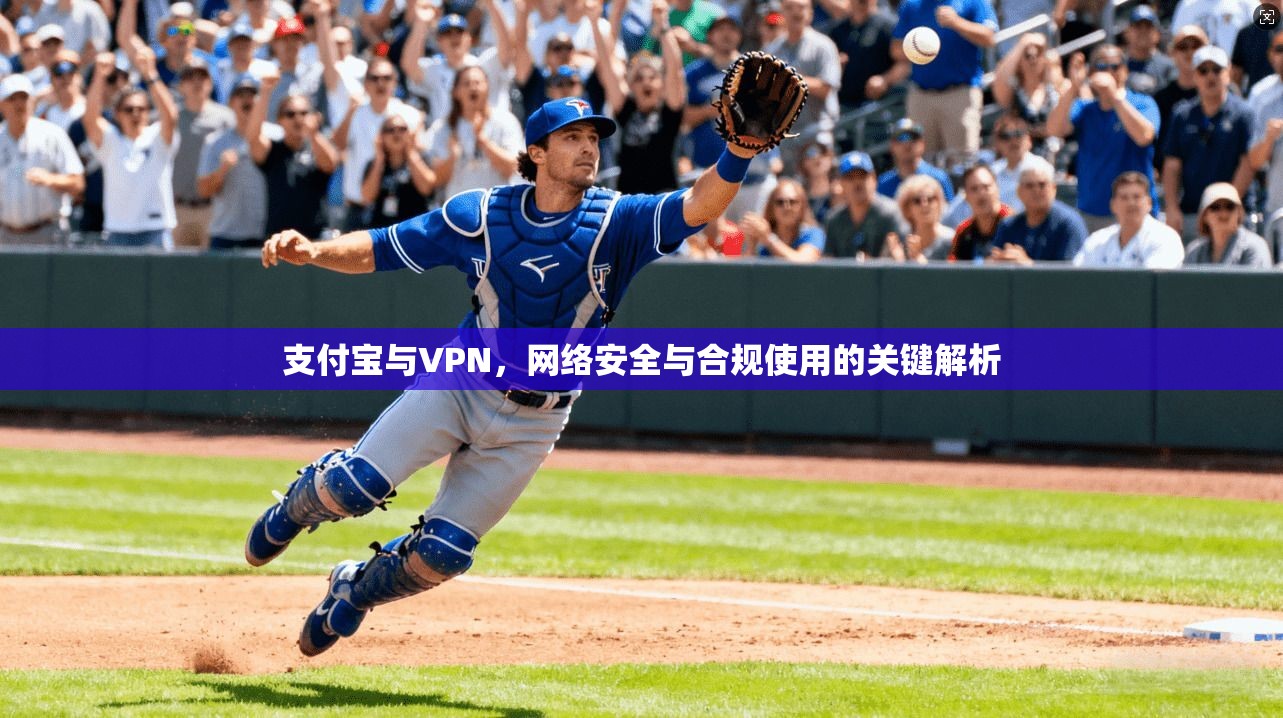 支付宝与VPN,网络安全与合规使用的关键解析 支付宝与VPN,网络安全与合规使用的关键解析
