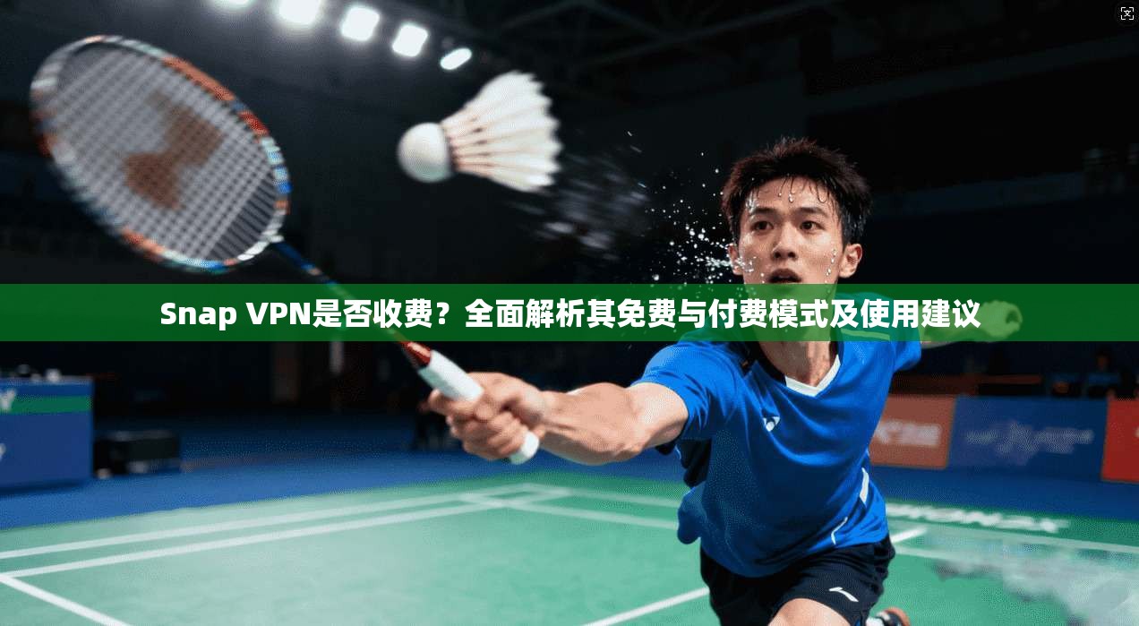 Snap VPN是否收费？全面解析其免费与付费模式及使用建议