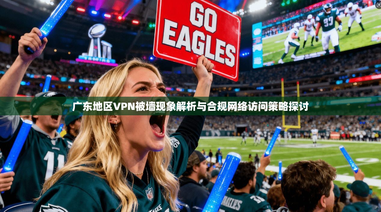 广东地区VPN被墙现象解析与合规网络访问策略探讨