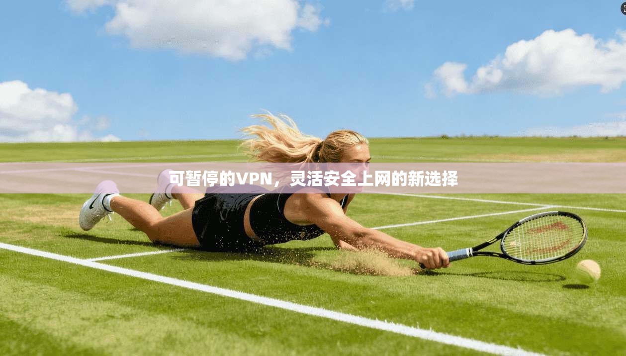 可暂停的VPN，灵活安全上网的新选择
