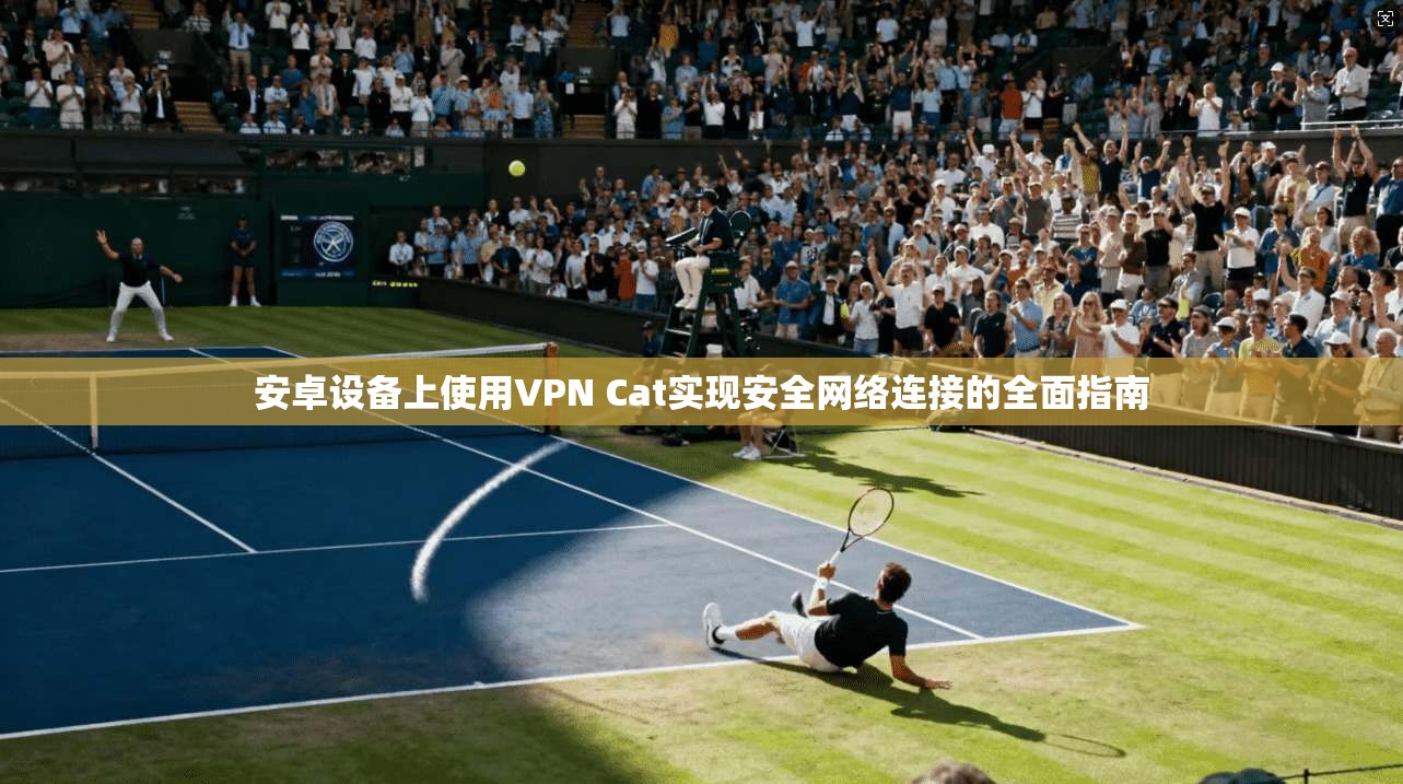 安卓设备上使用VPN Cat实现安全网络连接的全面指南 安卓设备上使用VPN Cat实现安全网络连接的全面指南