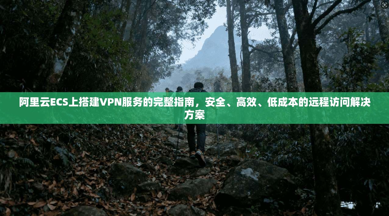阿里云ECS上搭建VPN服务的完整指南,安全、高效、低成本的远程访问解决方案 阿里云ECS上搭建VPN服务的完整指南,安全、高效、低成本的远程访问解决方案