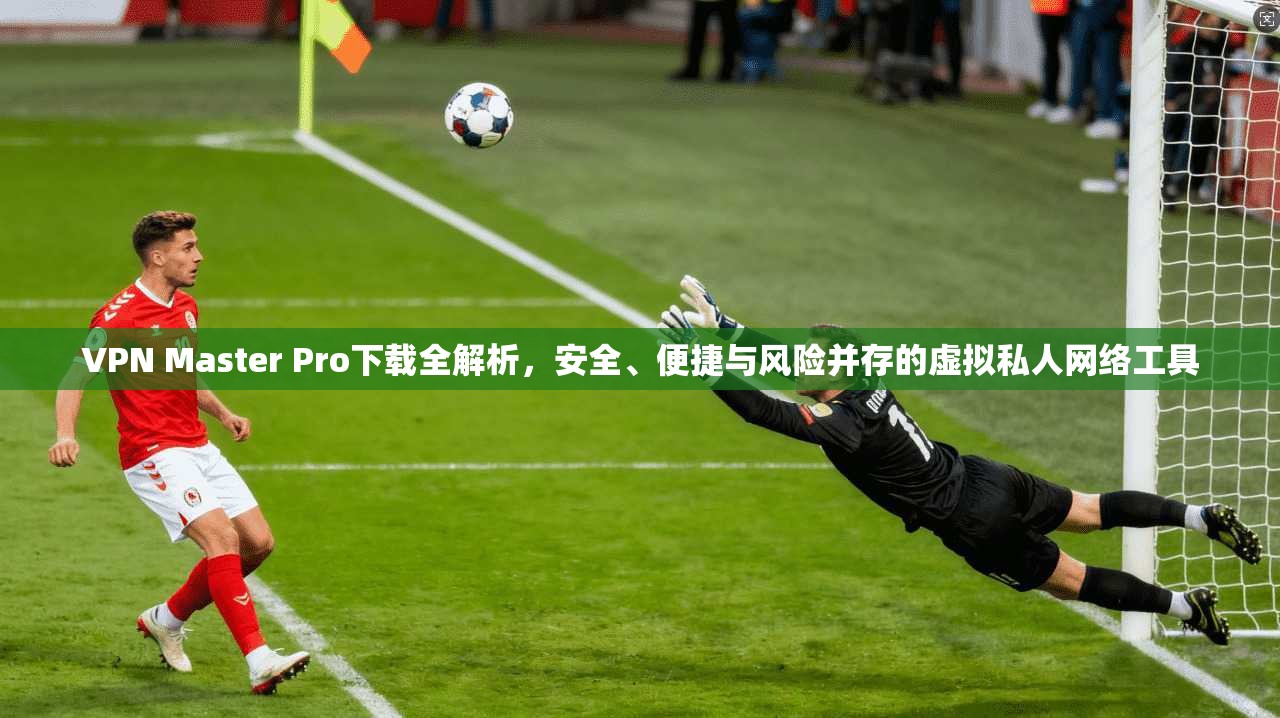 VPN Master Pro下载全解析，安全、便捷与风险并存的虚拟私人网络工具