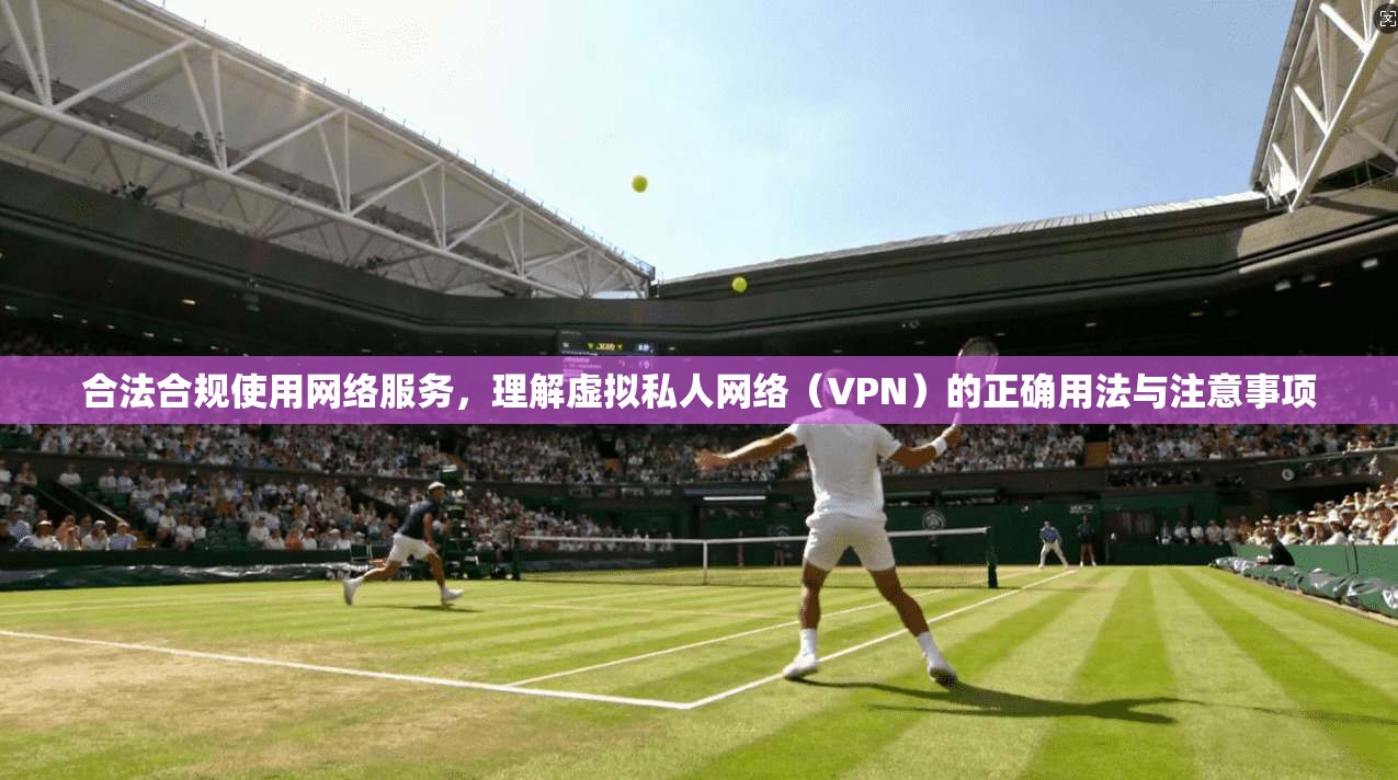 合法合规使用网络服务,理解虚拟私人网络(VPN)的正确用法与注意事项 合法合规使用网络服务,理解虚拟私人网络(VPN)的正确用法与注意事项