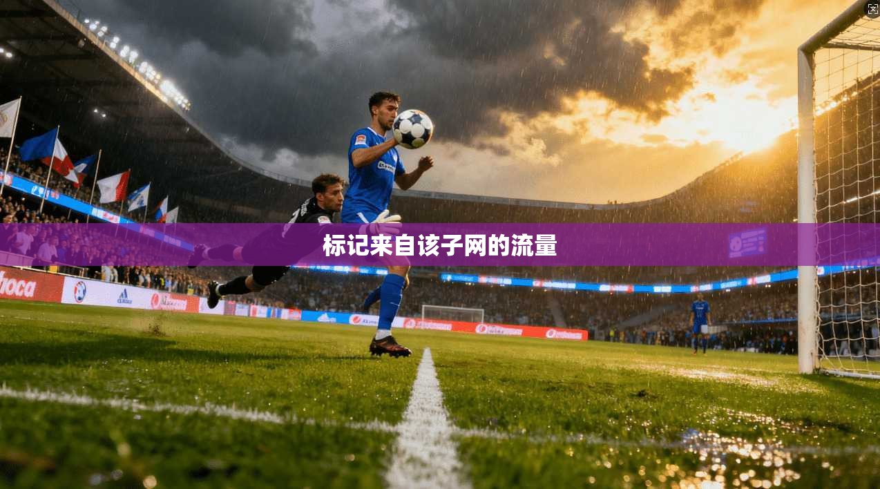 标记来自该子网的流量 标记来自该子网的流量