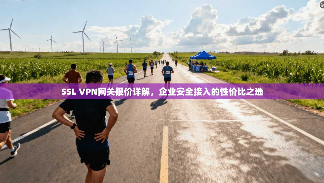 SSL VPN网关报价详解,企业安全接入的性价比之选 SSL VPN网关报价详解,企业安全接入的性价比之选
