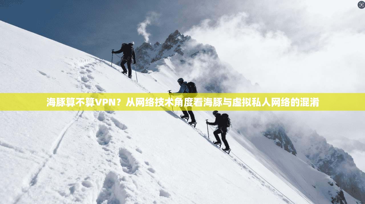 海豚算不算VPN?从网络技术角度看海豚与虚拟私人网络的混淆 海豚算不算VPN?从网络技术角度看海豚与虚拟私人网络的混淆