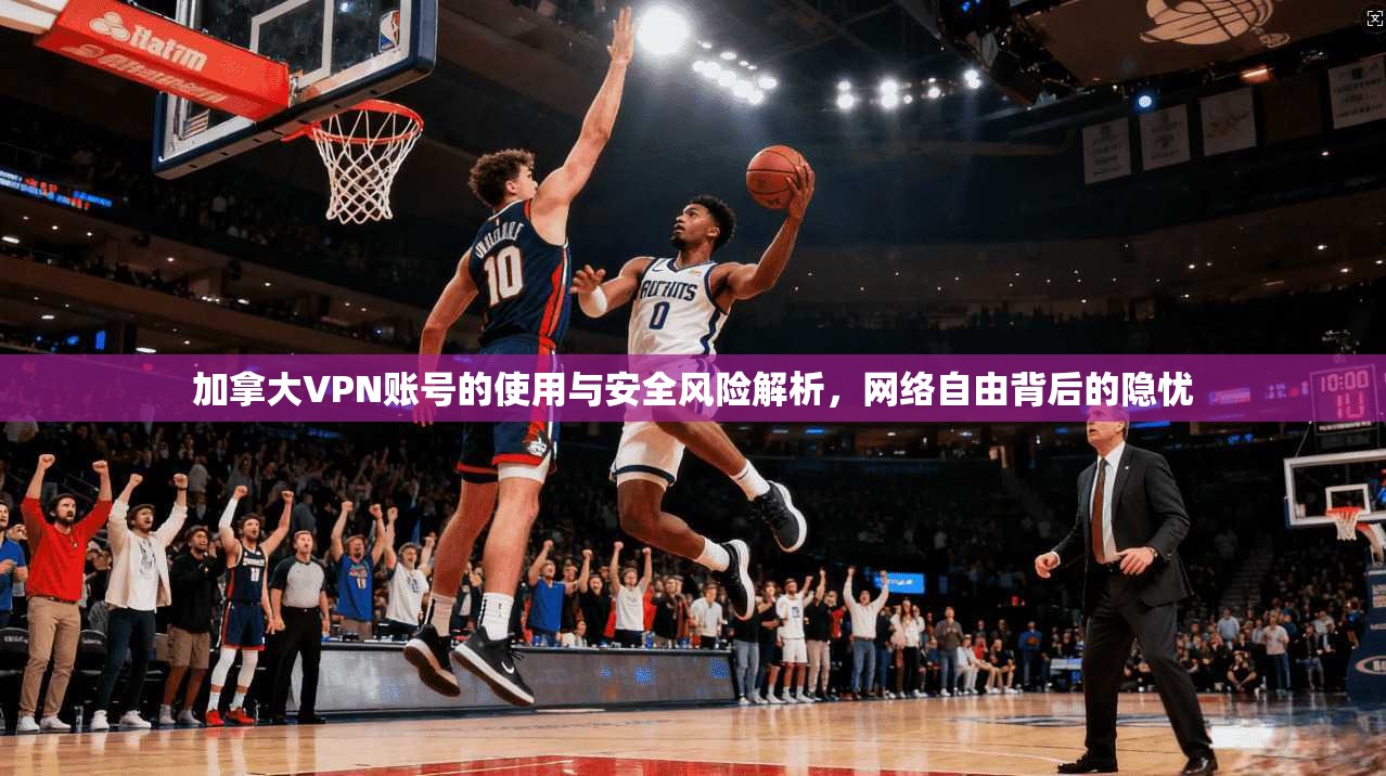 加拿大VPN账号的使用与安全风险解析,网络自由背后的隐忧 加拿大VPN账号的使用与安全风险解析,网络自由背后的隐忧