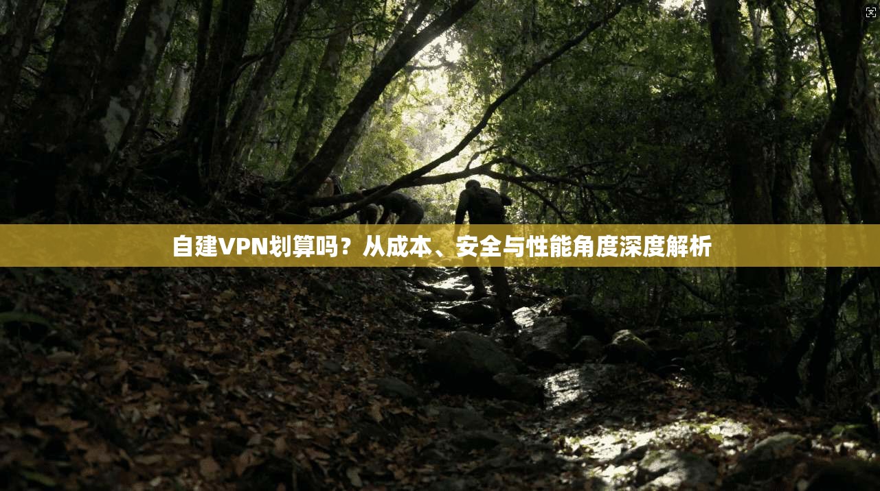 自建VPN划算吗?从成本、安全与性能角度深度解析 自建VPN划算吗?从成本、安全与性能角度深度解析