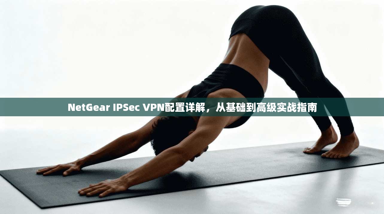 NetGear IPSec VPN配置详解,从基础到高级实战指南 NetGear IPSec VPN配置详解,从基础到高级实战指南