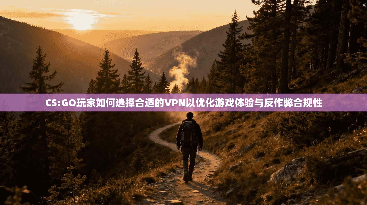 CS:GO玩家如何选择合适的VPN以优化游戏体验与反作弊合规性 CS:GO玩家如何选择合适的VPN以优化游戏体验与反作弊合规性