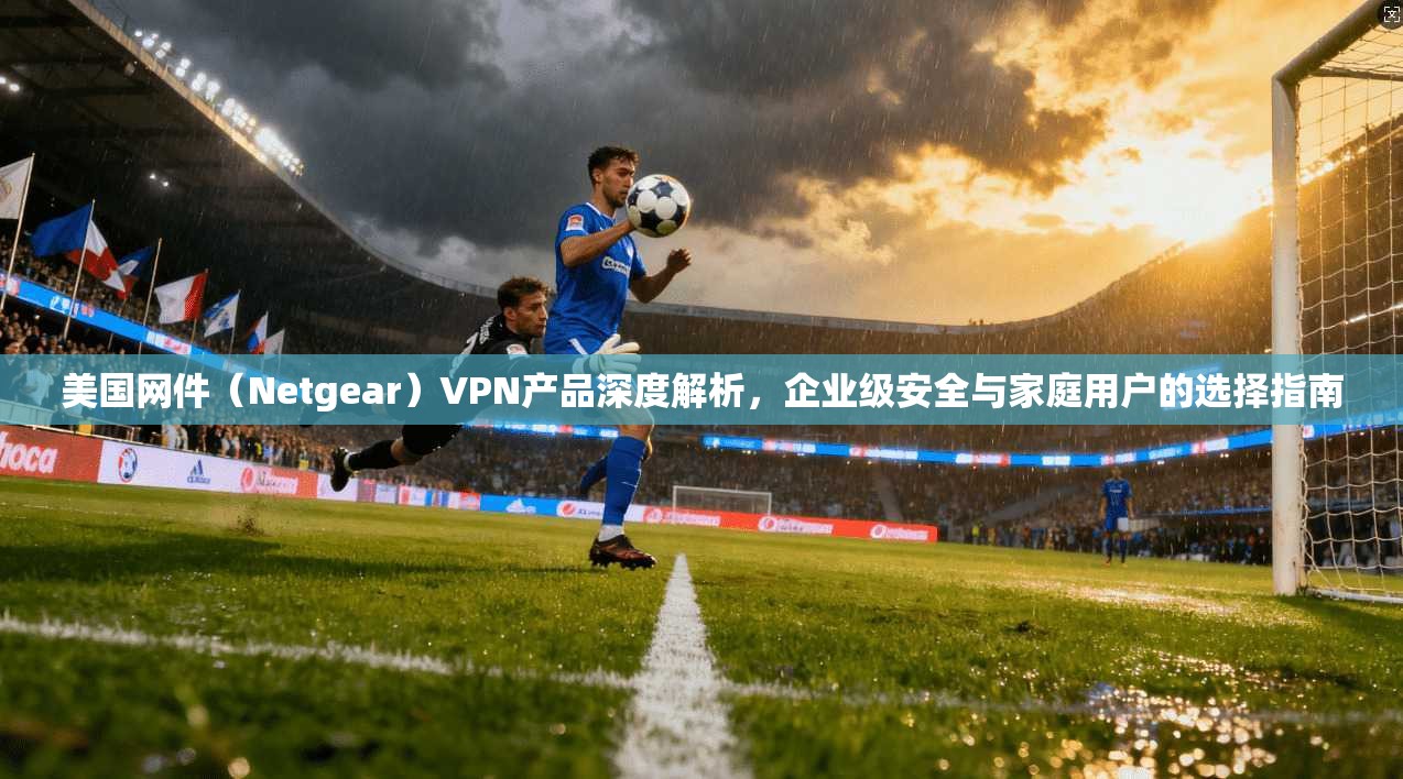 美国网件(Netgear)VPN产品深度解析,企业级安全与家庭用户的选择指南 美国网件(Netgear)VPN产品深度解析,企业级安全与家庭用户的选择指南