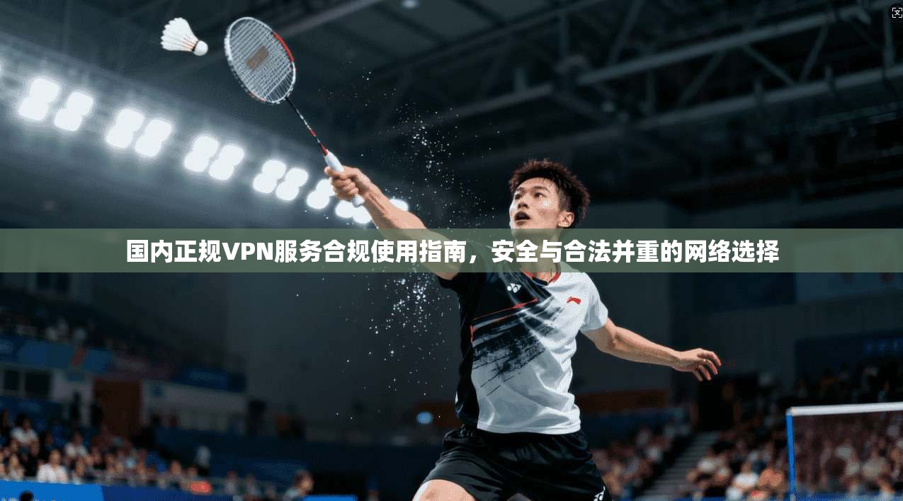 国内正规VPN服务合规使用指南,安全与合法并重的网络选择 国内正规VPN服务合规使用指南,安全与合法并重的网络选择