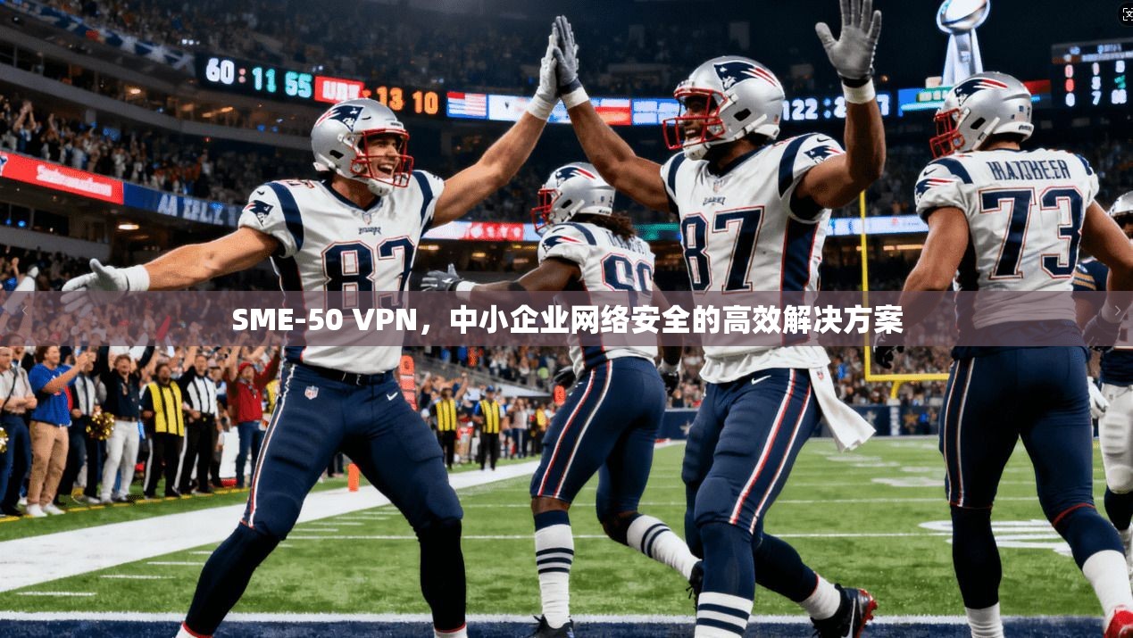SME-50 VPN，中小企业网络安全的高效解决方案