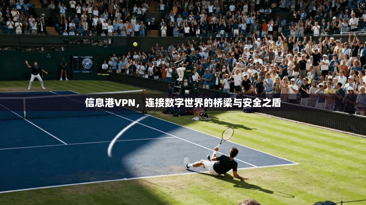 信息港VPN，连接数字世界的桥梁与安全之盾
