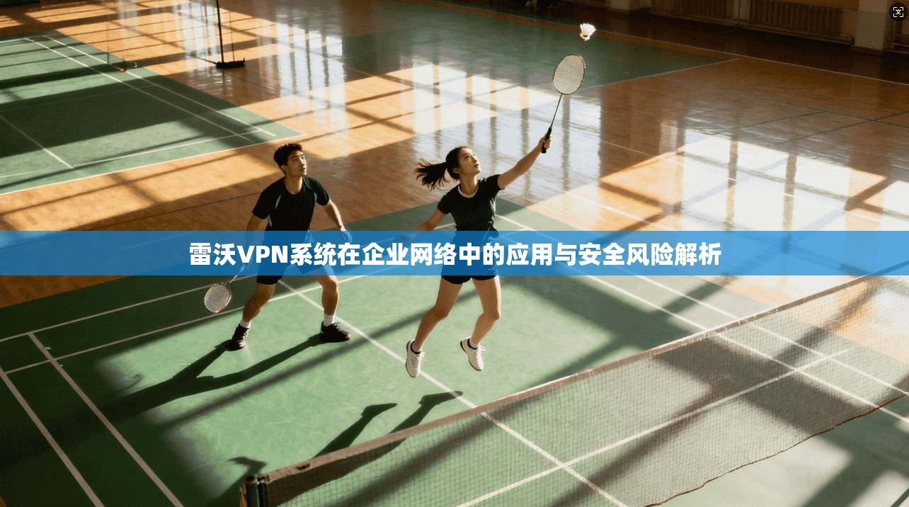 雷沃VPN系统在企业网络中的应用与安全风险解析