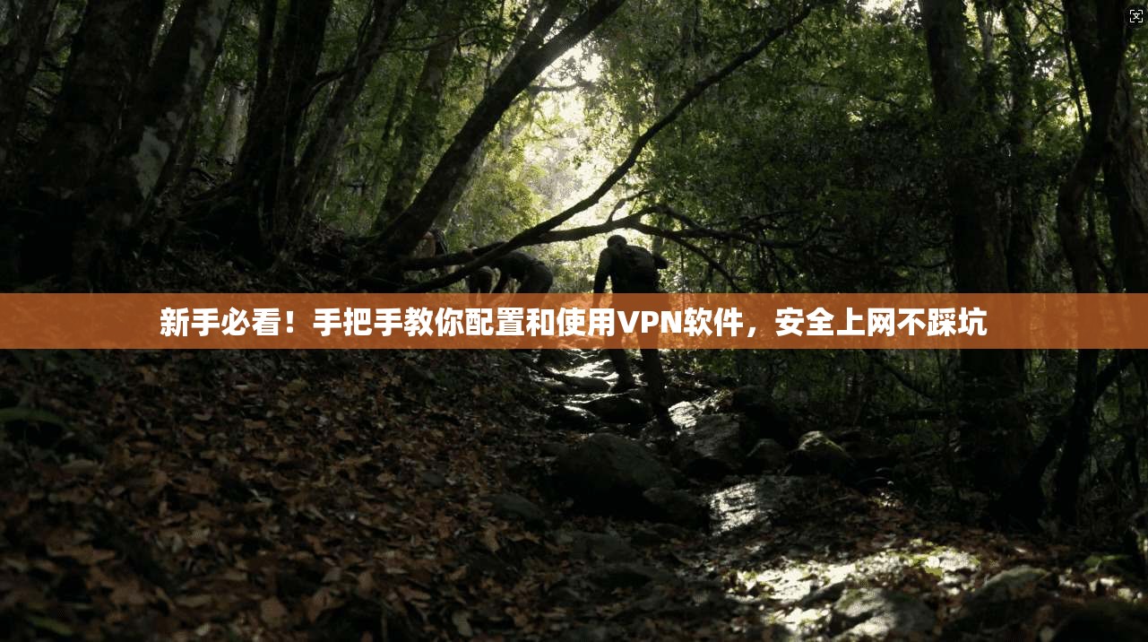 新手必看!手把手教你配置和使用VPN软件,安全上网不踩坑 新手必看!手把手教你配置和使用VPN软件,安全上网不踩坑