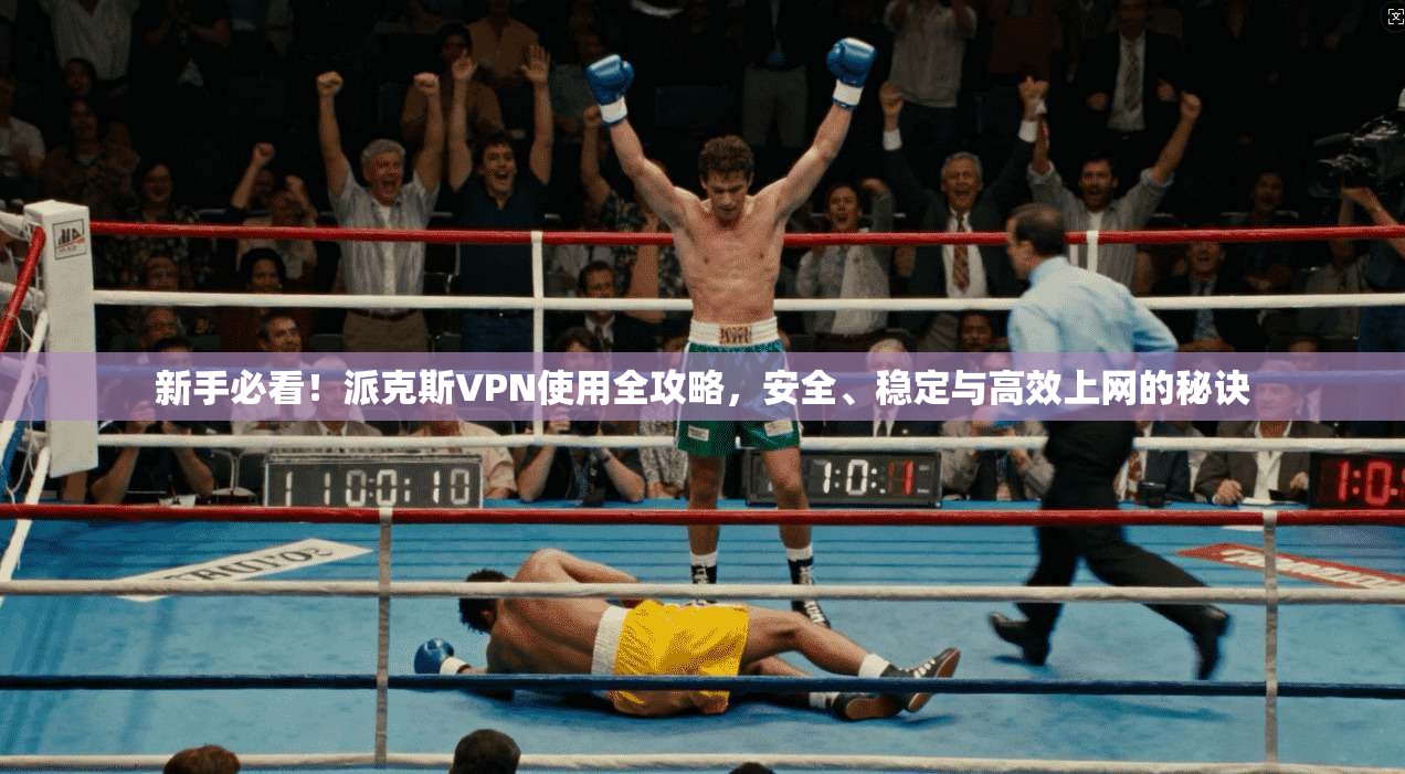 新手必看！派克斯VPN使用全攻略，安全、稳定与高效上网的秘诀