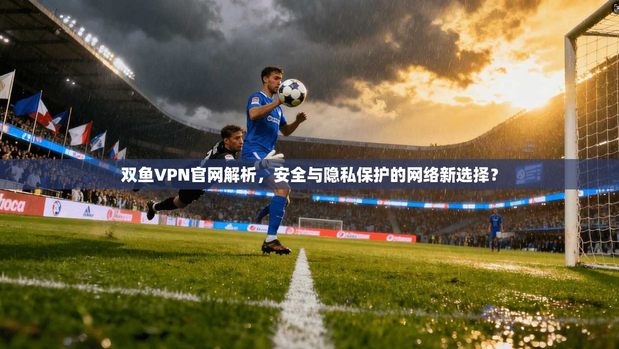 双鱼VPN官网解析，安全与隐私保护的网络新选择？